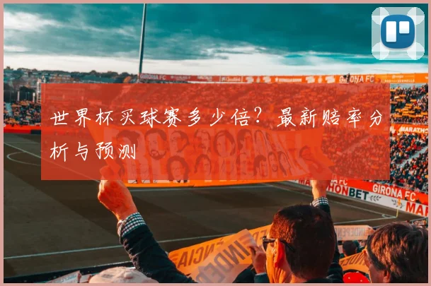 世界杯买球赛多少倍？最新赔率分析与预测